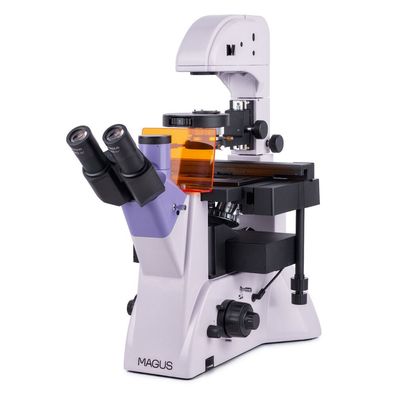 Magus - 82909 - Lum V500L Fluoreszenz-Inversionsmikroskop