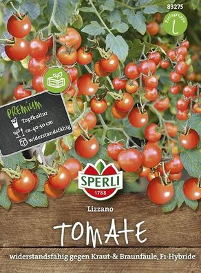 Sperli Tomate Lizzano, resistent gegen Kraut- und Braunfäule