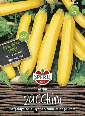 Sperli Zucchini Orelia F1, goldgelbe Farbe und längliche Früchte, ein echter