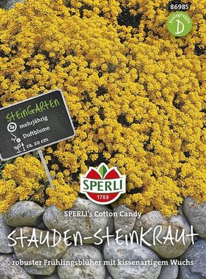 Sperli Steinkraut, Stauden, Cotton Candy, lange Blütezeit