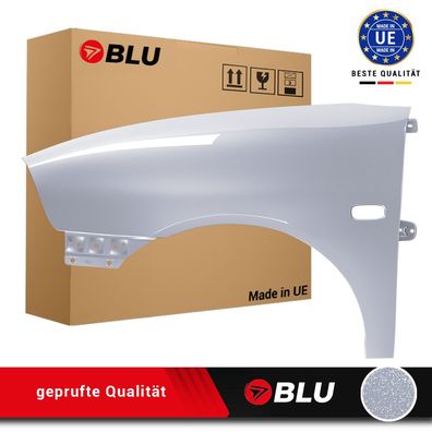 Kotflügel SEAT IBIZA Cordoba III 3 6L LA7W LINKS SILBER 2002-2008 NEU Verzinkt