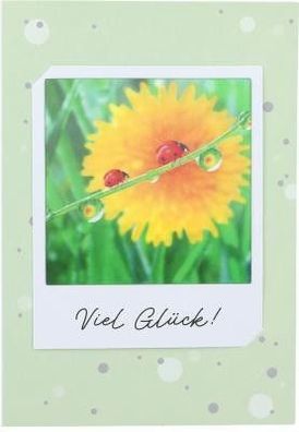 3D Polaroid Klappkarte - Viel Glück!