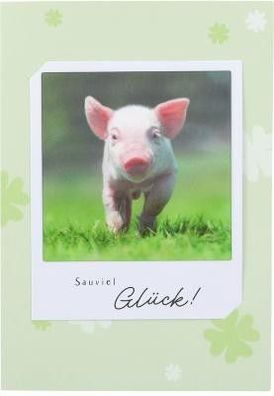 3D Polaroid Klappkarte - Sauviel Glück!