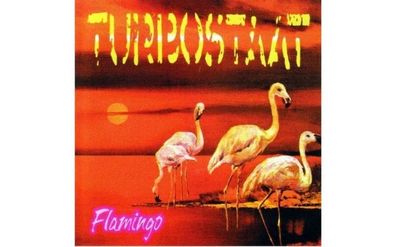 Turbostaat: Flamingo (180g) (Limited Edition) - Believe Digita