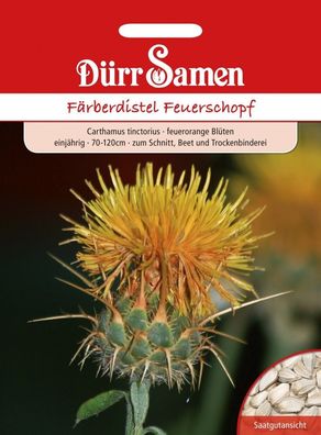 Dürr Färberdistel Feuerschopf Carthamus tinctorius, leuchtende Blüten