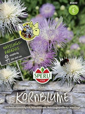 Sperli Kornblume Aloha Centaurea americana, exotische Schönheit