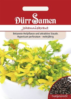 Dürr Johanniskraut Hypericum perforatum, Heilpflanze mit langer Tradition