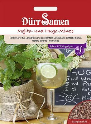 Dürr Mojito- und Hugo-Minze, aromatisch & vielseitig einsetzbar