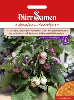 Dürr Aubergine (Eierfrucht) Pinstripe F1 gestreift, zartes Fruchtfleisch