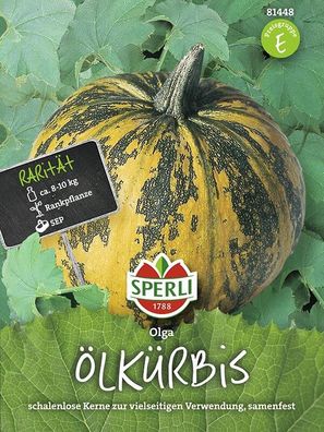 Sperli Ölkürbis Olga, kräftige, robuste Pflanze