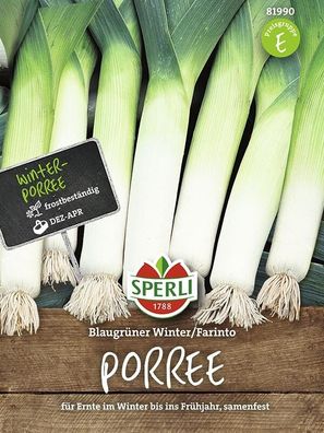 Sperli Porree Blaugrüner Winter/ Farinto, robuste Wintersorte mit Ausdauer