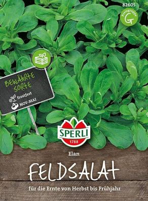 Sperli Feldsalat Elan, schnellwüchsig & ertragreich