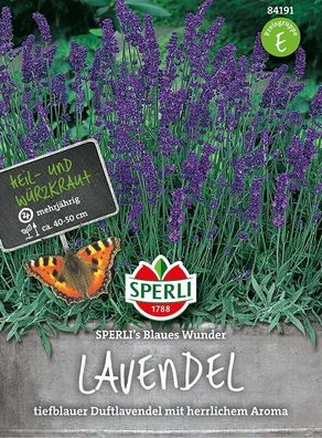 Sperli Lavendel Blaues Wunder, intensiver Duft & tiefblaue Blüten