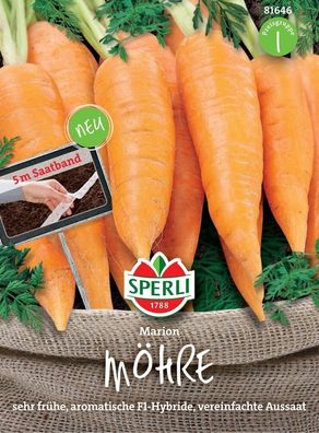 Sperli Möhre Marion F1 (Saatband), frühe Nantaise-Möhre, entwickeln einen