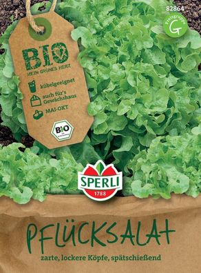 Sperli BIO Pflücksalat grün, bildet als Eichblattsalat große lockere Köpfe