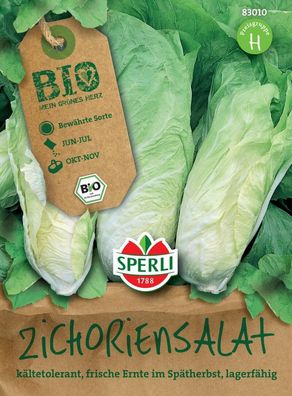 Sperli BIO Zichoriensalat, bildet im Spätherbst feste tütenförmige Köpfe,