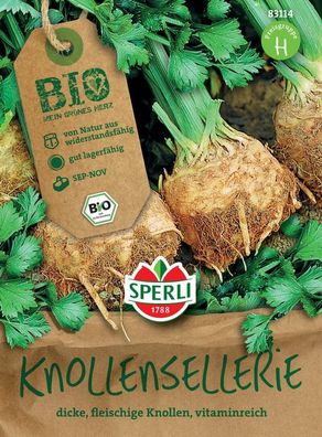 Sperli BIO Knollensellerie, Bund- und Knollensellerie bildet dicke fleischige