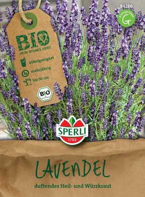 Sperli BIO Lavendel, mehrjährige beliebte Duftpflanze ist ein wahrer