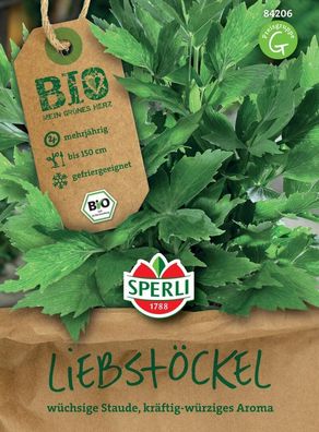 Sperli BIO Liebstöckel, darf in keinem Kräutergarten fehlen, mehrjähriges