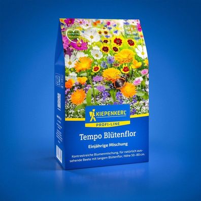 Blumensamen-Mischung Tempo Blütenflor, Kontrastreiche Blumenmischung für