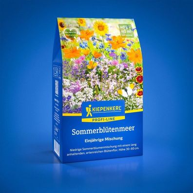 Blumensamen-Mischung Sommerblütenmeer, niedrige Sommerblumenmix mit langer