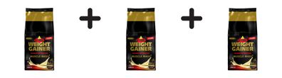 3 x Inkospor Weight Gainer (1200g) Vanilla