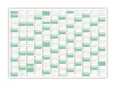 Green Wandkalender / Wandplaner 2027 gefaltet DIN A3 Format (297 x 420 mm)