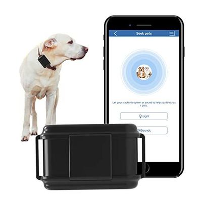 Winnes GPS-Halsband ohne Abonnement für Hunde