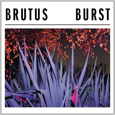 Brutus: Burst - 375 Media - (LP / B)