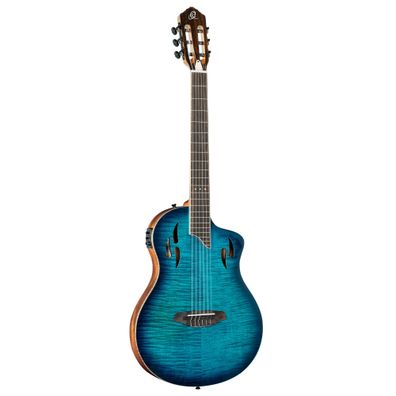Ortega RTPDLX-FMA TourPlayer Dlx