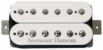 Seymour Duncan Pearly Gates Bridge - White