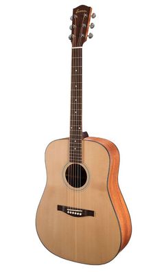 Eastman AC 120 Dreadnought