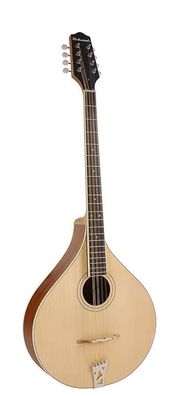 Richwood RIMA-40 Irish Mandola