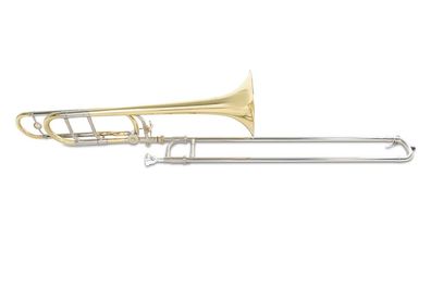 Roy Benson TT-236F Tenor in B/F