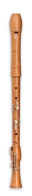 Mollenhauer 2446C Canta Comfort-Tenor