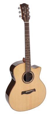 Richwood SWG-150W-CE