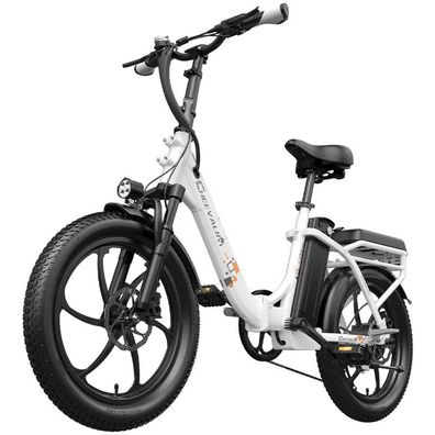250W 48V 15AH City-Elektrofahrrad All Terrain E-Bicycle 20 * 3.0 Tire Range 150KM