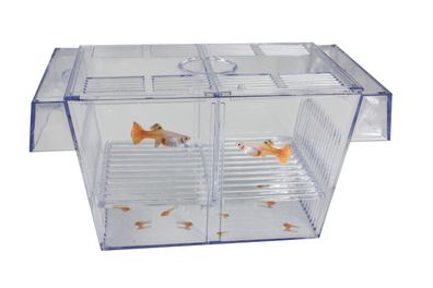 SuperFish schwimmendes Aufzuchtsbecken-Zuchtbecken,