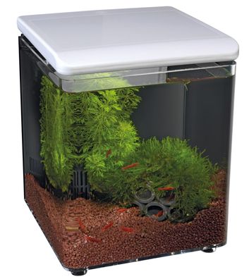 SuperFish Home 8