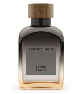 Adolfo Dominguez Ebano Salvia 120 ml EDT Spray