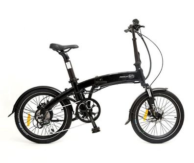 20 Zoll Faltbares E-Bike 350W Motor 36V Doppelbatterie City-Elektrofahrrad 8-Gang