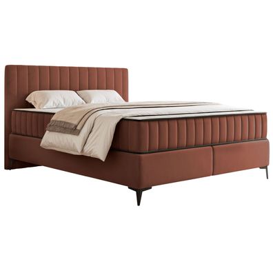 Selsey Mufasso - Boxbett 180x200 mit Bettkasten - wasserabweisender Velours, kupfer