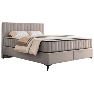 Selsey Mufasso - Boxbett 140x200 mit Bettkasten - wasserabweisender Velours, greige