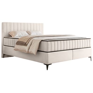 Selsey Mufasso - Boxbett 160x200 mit Bettkasten - wasserabweisender Velours, creme