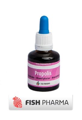 Fish Pharma Propolis Tinktur 30 ml - wirkt als natürliches Antibiotikum