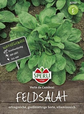 Sperli Feldsalat Verte de Cambrai (Rapunzel), winterhart & nährstoffreich