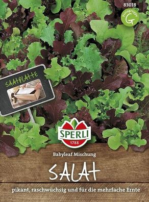 Sperli Salat (Babyleaf Mischung) Saatteppich (12,5cm x 40cm), raschwüchsige