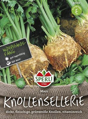 Sperli Knollensellerie Mars, dicke fleischige grünbraune und gut lagerfähige