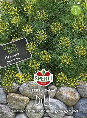 Dill Sperling`s Elefant, schnellwüchsige blattreiche Sorte mit hohem