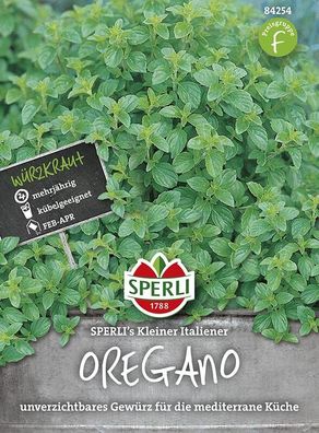Oregano / Dost Sperling´s Kleiner Italiener, aromatisch & intensiv